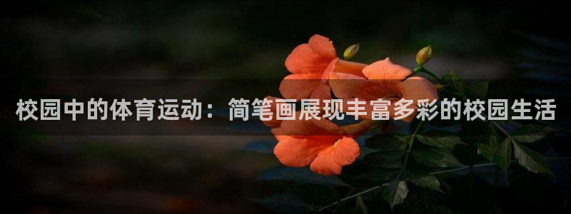 xc体育：校园中的体育运动：简笔画展现丰富多彩的校园生活