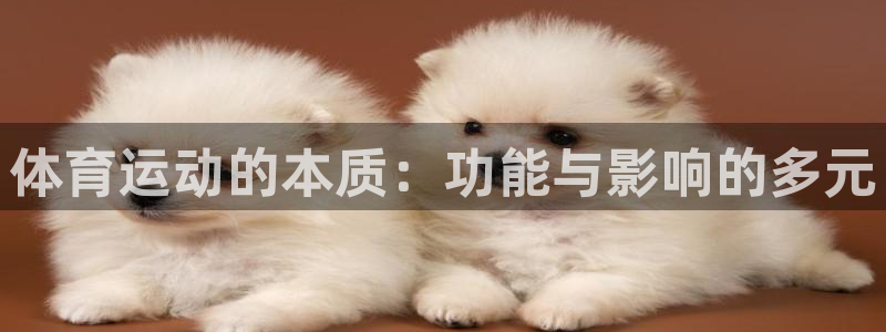 xc体育：体育运动的本质：功能与影响的多元