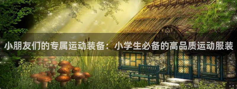 xc体育：小朋友们的专属运动装备：小学生必备的高品质运动服装
