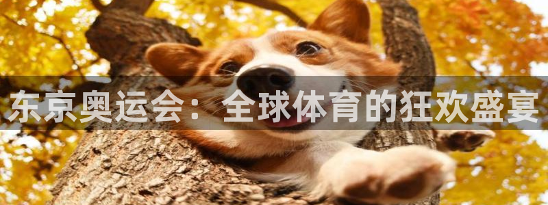 xc体育app官方网站：东京奥运会：全球体育的狂欢盛宴