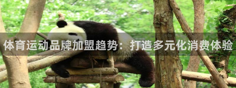 xc体育app官方网站：体育运动品牌加盟趋势：打造多元化消费体验