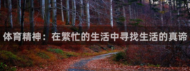 xc体育app官方网站：体育精神：在繁忙的生活中寻找生活的真谛