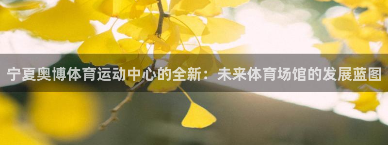 xc体育：宁夏奥博体育运动中心的全新：未来体育场馆的发展蓝图
