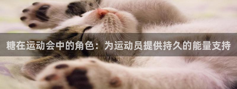 xc体育app官方网站：糖在运动会中的角色：为运动员提供持久的能量支持