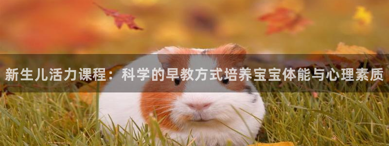 xc体育