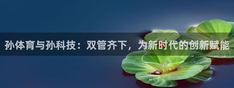 xc体育：孙体育与孙科技：双管齐下，为新时代的创新赋能